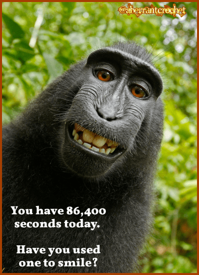 Aberrant Crochet's Gratitude Challenge - 6,400 seconds today - Have you used one to smile?