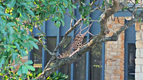 Aberrant Crochet - Crochet Spider Web Invasion 2014