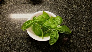 How to Keep Your Cut Basil Alive Longer - Aberrant Crochet
