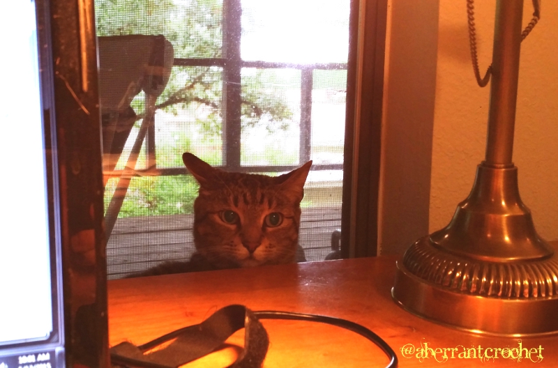 I don't understand....