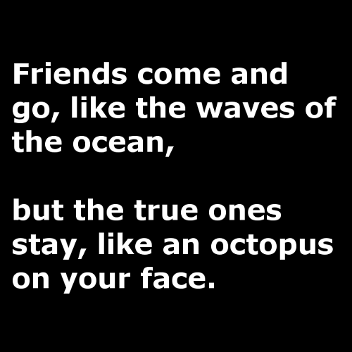 True friends are like octopi...