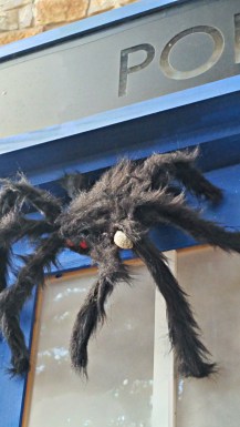 Asp or puss caterpillar