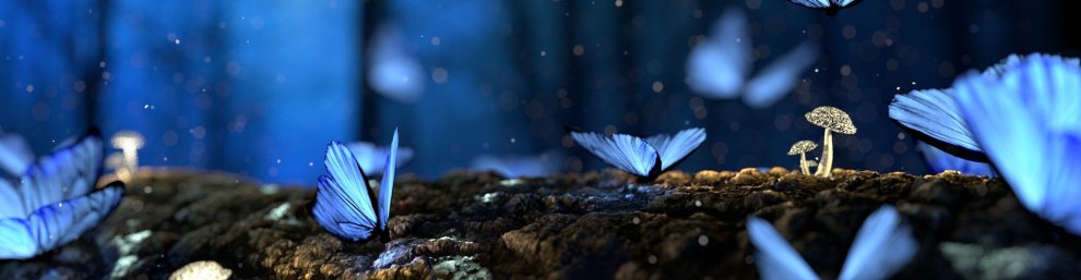 The writer reveals life